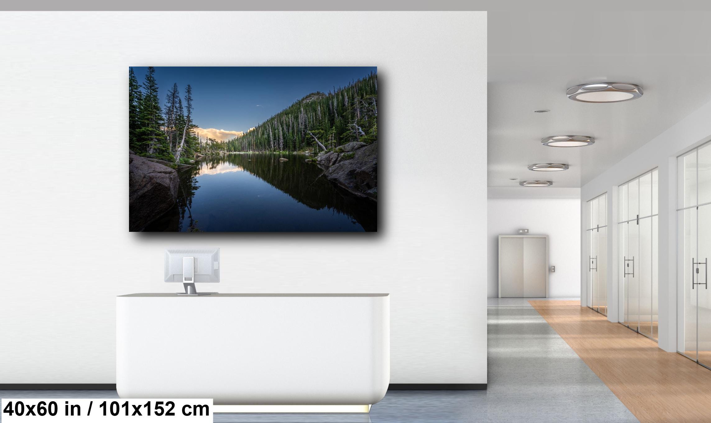 Dream Lake Pines Print: Rocky Mountain National Park Wall Art