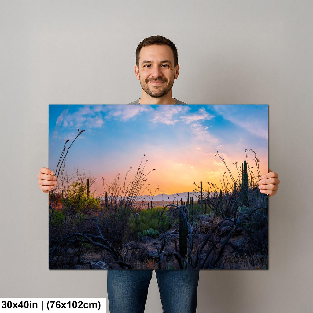 Sonoran Desert Sunset with Saguaros and Ocotillo - Saguaro National Park East Tucson Photography Print