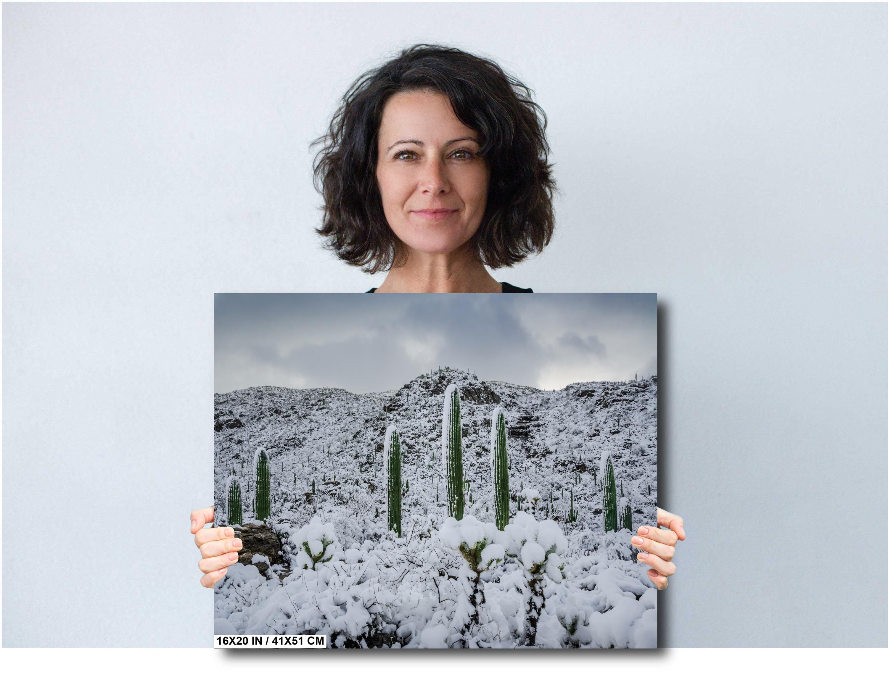 Saguaro National Park Winter Snow Photography Print: Tucson Desert Wall Art