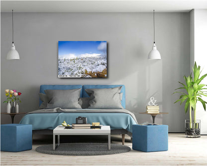 Saguaro Snow Print – Winter Desert Photography | Southwestern Cactus Wall Art