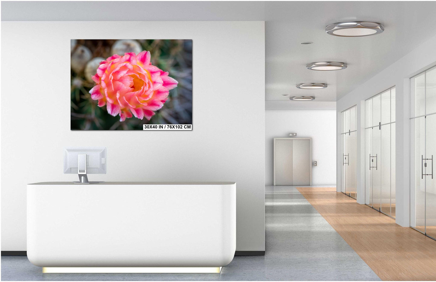 Cactus Flower Photography Print: Pink, Yellow Bloom, Desert Macro Wall Art