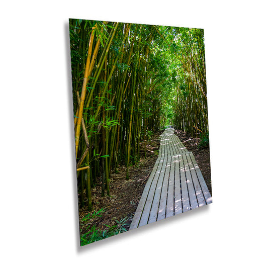 Bamboo Cathedrals: A Dramatic Walk Along Pipiwai Trail in Haleakala Maui Hawaii Wall Art Canvas Print