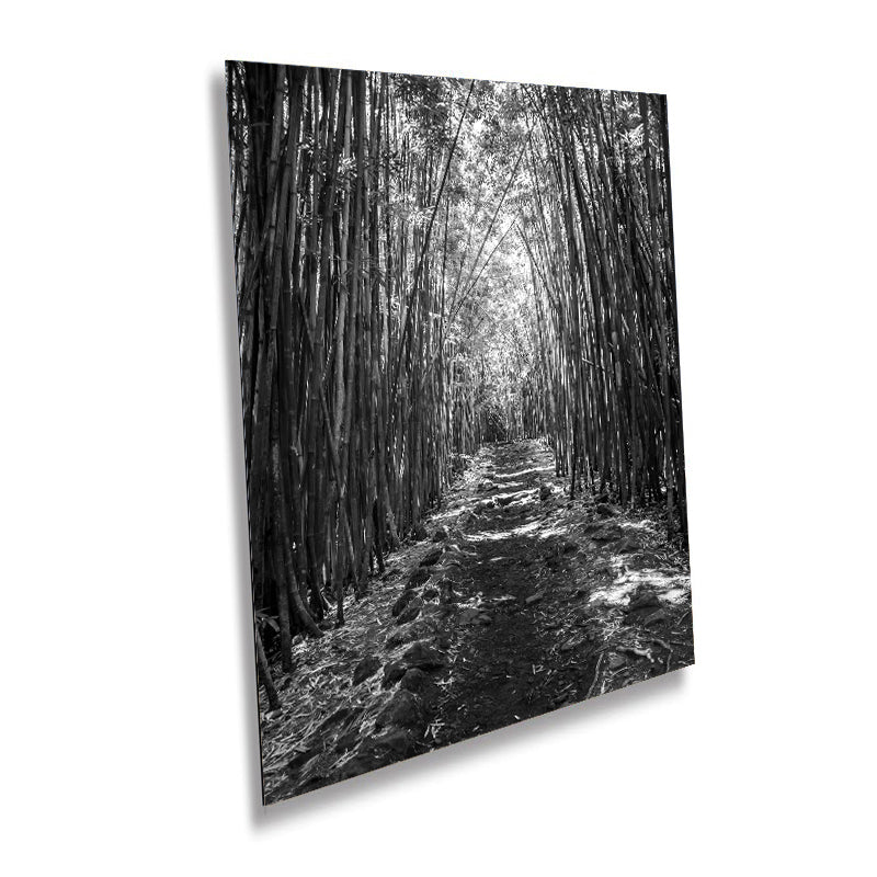Pipiwai Trail Print: Bamboo Forest Stairs, Haleakala Maui Art