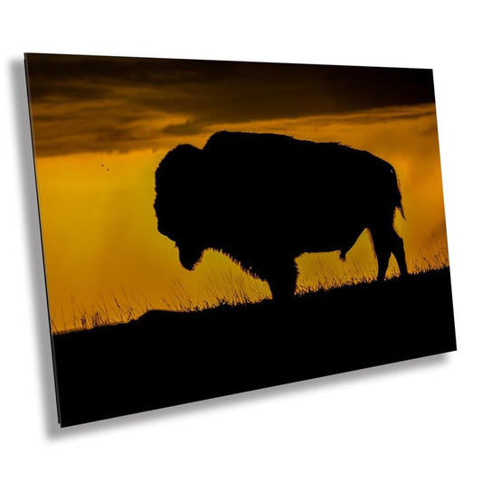 Big Daddy: King of the Badlands Buffalo Silhouette Wildlife Canvas Print Bison Photography Wall Art