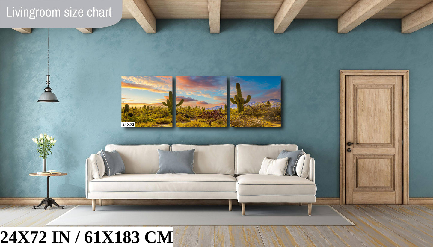 Sabino Canyon Cactus Sunset: Tucson Arizona Desert Photography Wall Art