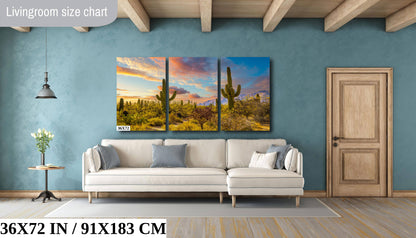 Sabino Canyon Cactus Sunset: Tucson Arizona Desert Photography Wall Art