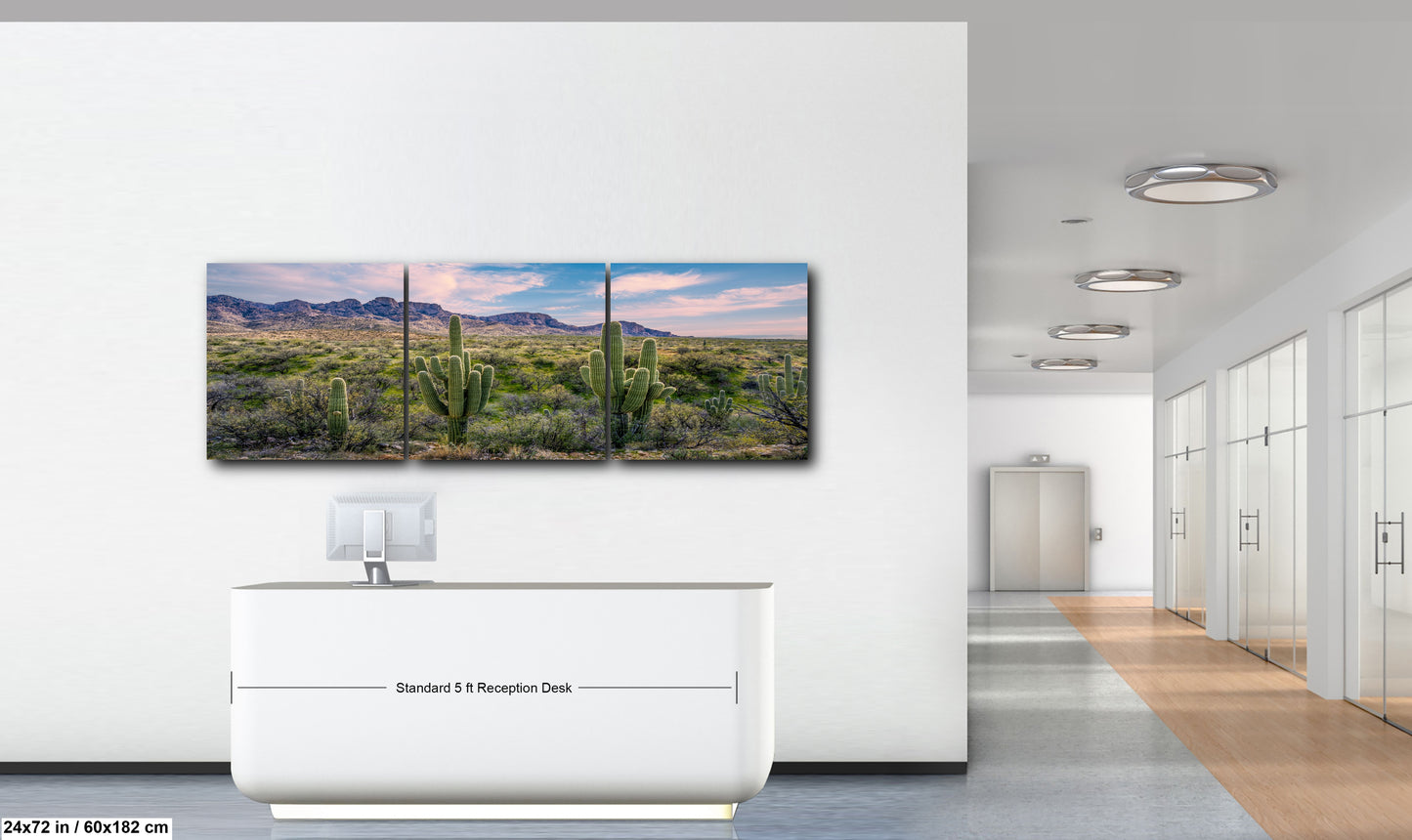 Catalina State Park Saguaro Sunset - Tucson Arizona Desert Mountains Photography Print