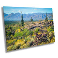 Desert Tapestry: Saguaro National Park East Arizona Cactus Photography Wall Art