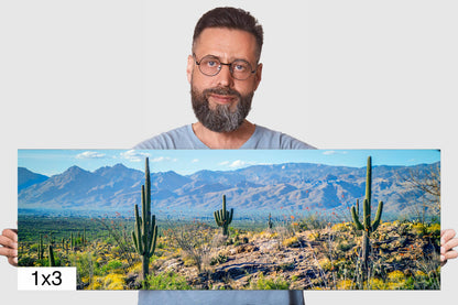 Desert Tapestry: Saguaro National Park East Arizona Cactus Photography Wall Art