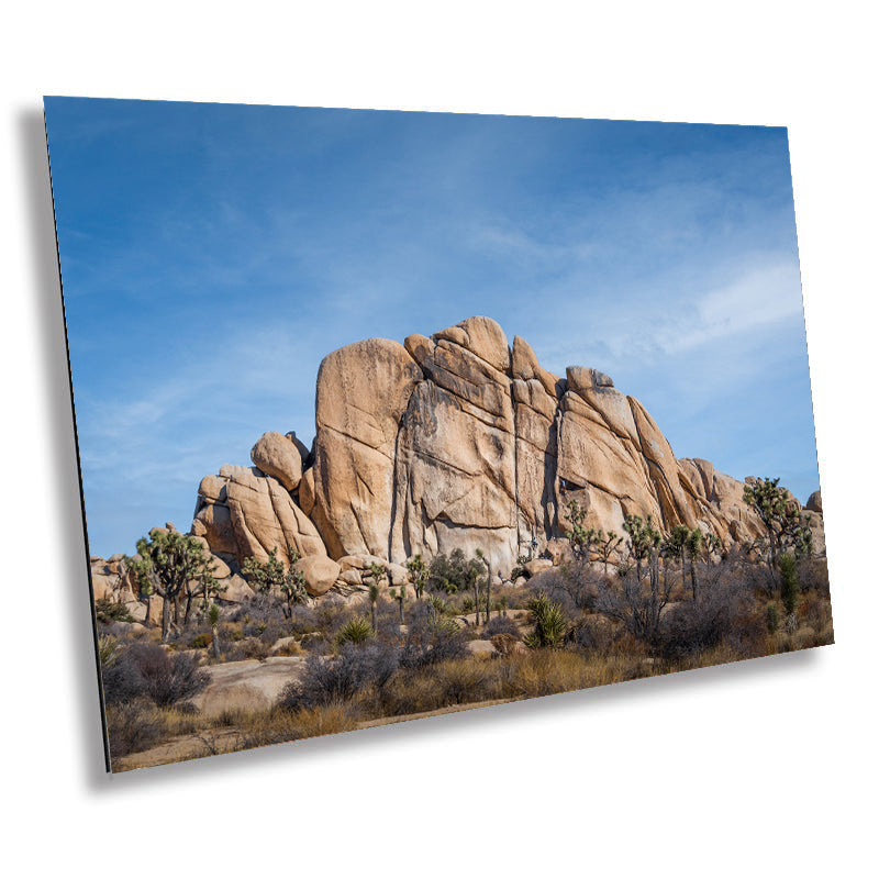 Joshua Tree Wall Art – California Desert Rock Formations Canvas Print