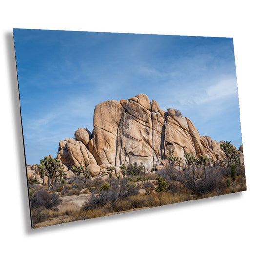 Joshua Tree Wall Art – California Desert Rock Formations Canvas Print