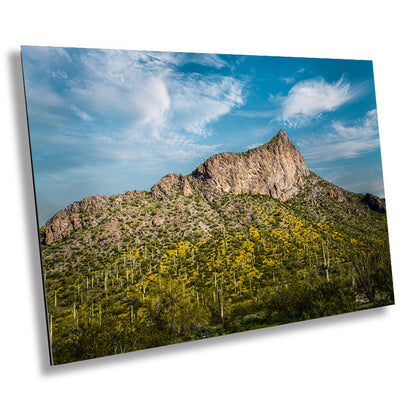 Picacho Peak Arizona Desert Landscape Photography Wall Art