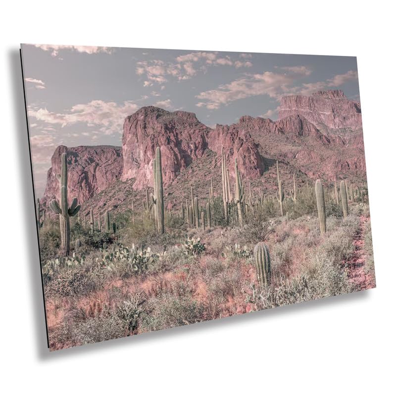 Enigmatic Wilderness Wonders: Superstition Mountains Cactus Desert Arizona Wall Art