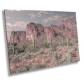 Enigmatic Wilderness Wonders: Superstition Mountains Cactus Desert Arizona Wall Art