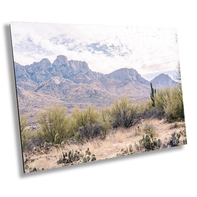 Catalina State Park: Arizona Desert Mountain Landscape Wall Art