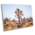 Joshua Tree National Park Art: California Desert Landscape Wall Decor