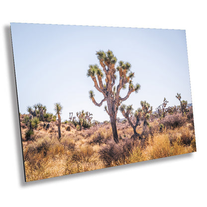 Joshua Tree Wall Art – California Desert Landscape Print | Premium Photo Paper
