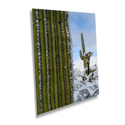 Frozen Giants: Snowfall on Saguaro National Park Cactus Winter Photography Home Wall Art