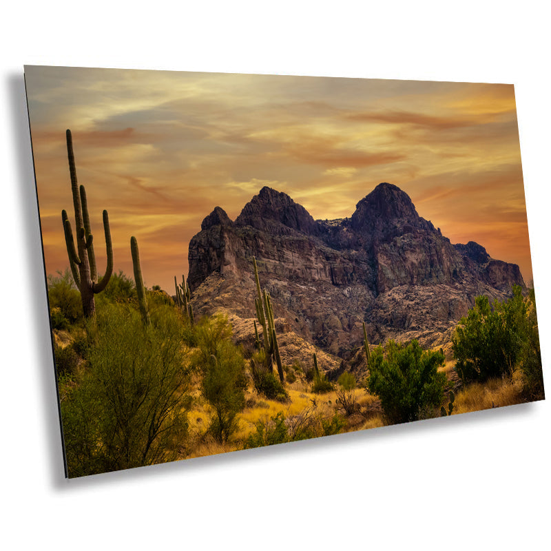 Golden Southwest Arizona Wall Art Landscape Nature Photography