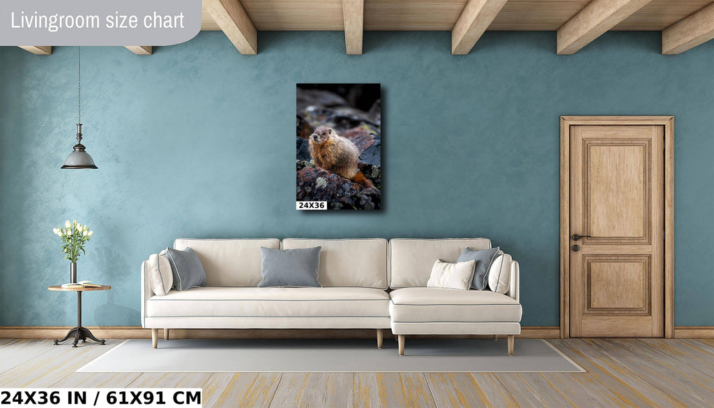 Yellowstone Marmot Wildlife Photography: Aluminum, Acrylic, Canvas Print