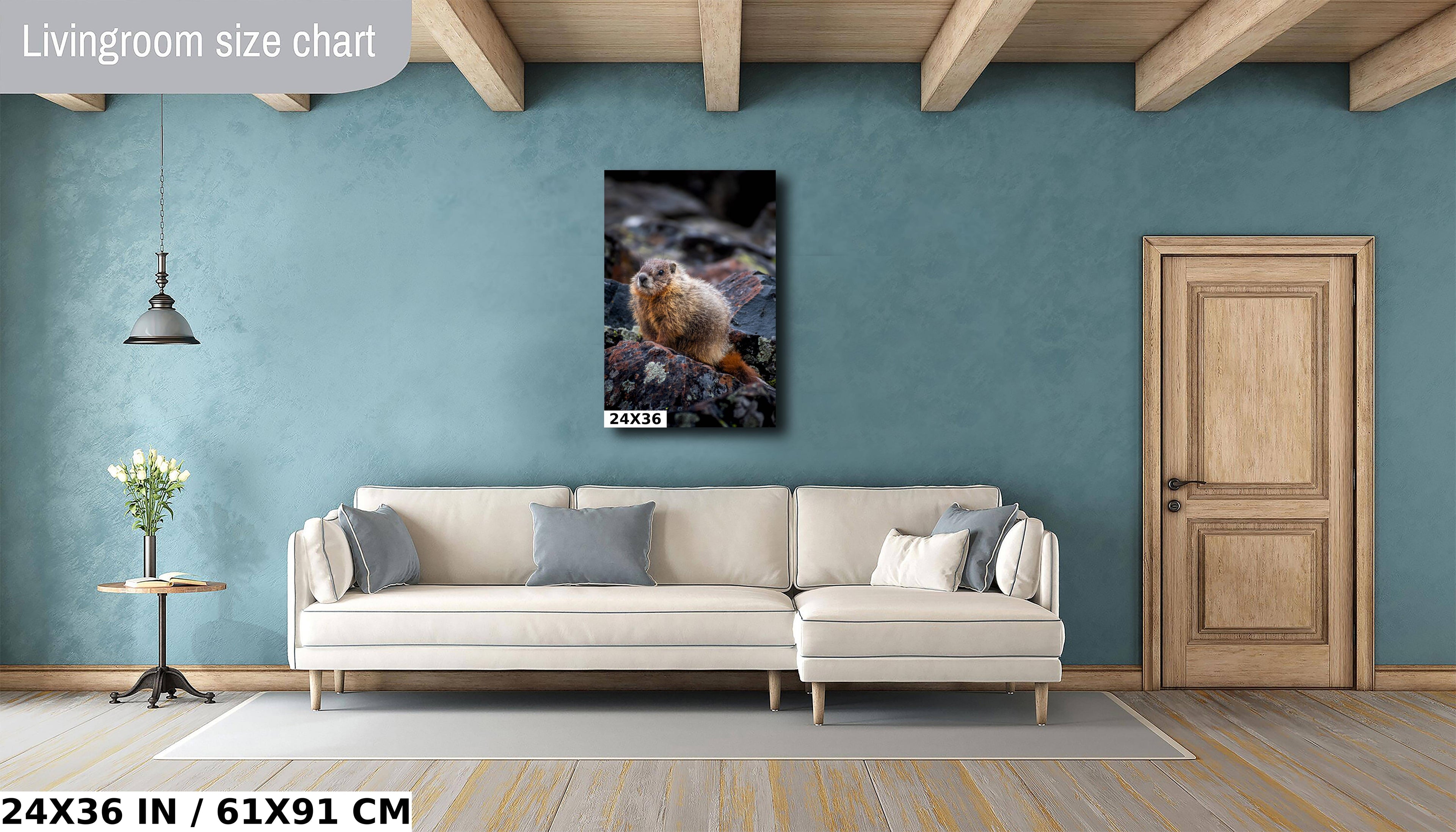 Yellowstone Marmot Wildlife Photography: Aluminum, Acrylic, Canvas Print