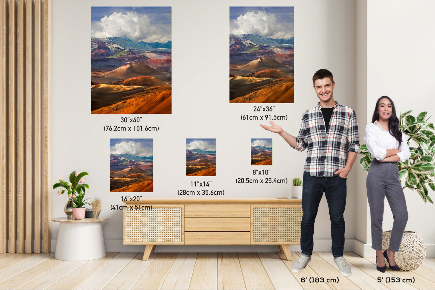 Another World: Haleakala National Park Maui Volcano Canvas Print Wall Art