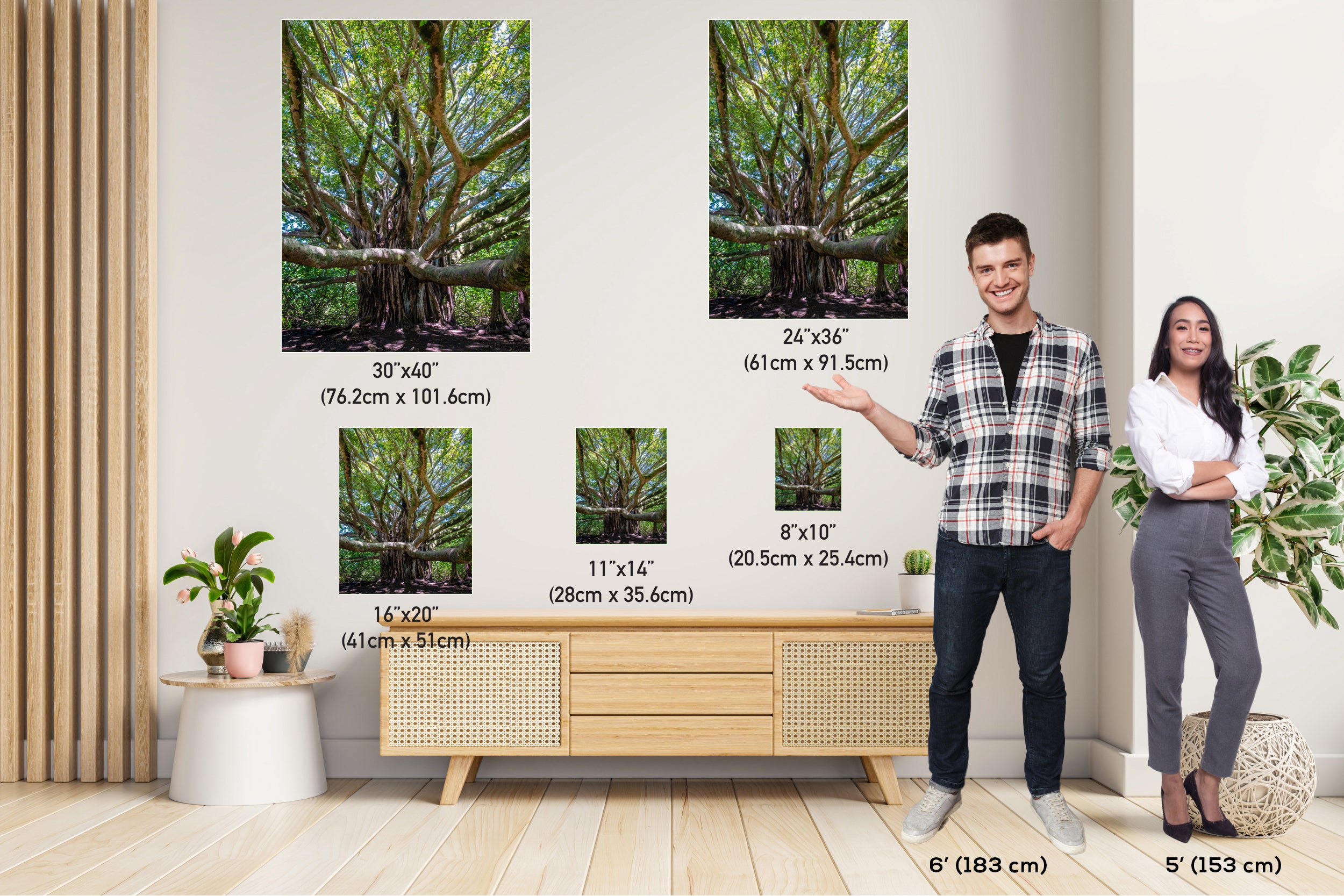 Roots of Time - Banyan Tree in Haleakala National Park Photography Maui Nature Canvas Print Hawaii Landscape