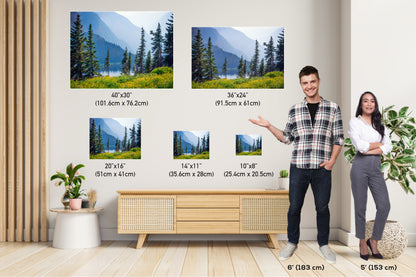 Botanical Wonderland: Summer Wildflowers at Glacier Montana Landscape Photography Metal Canvas Print Nature Wall Art