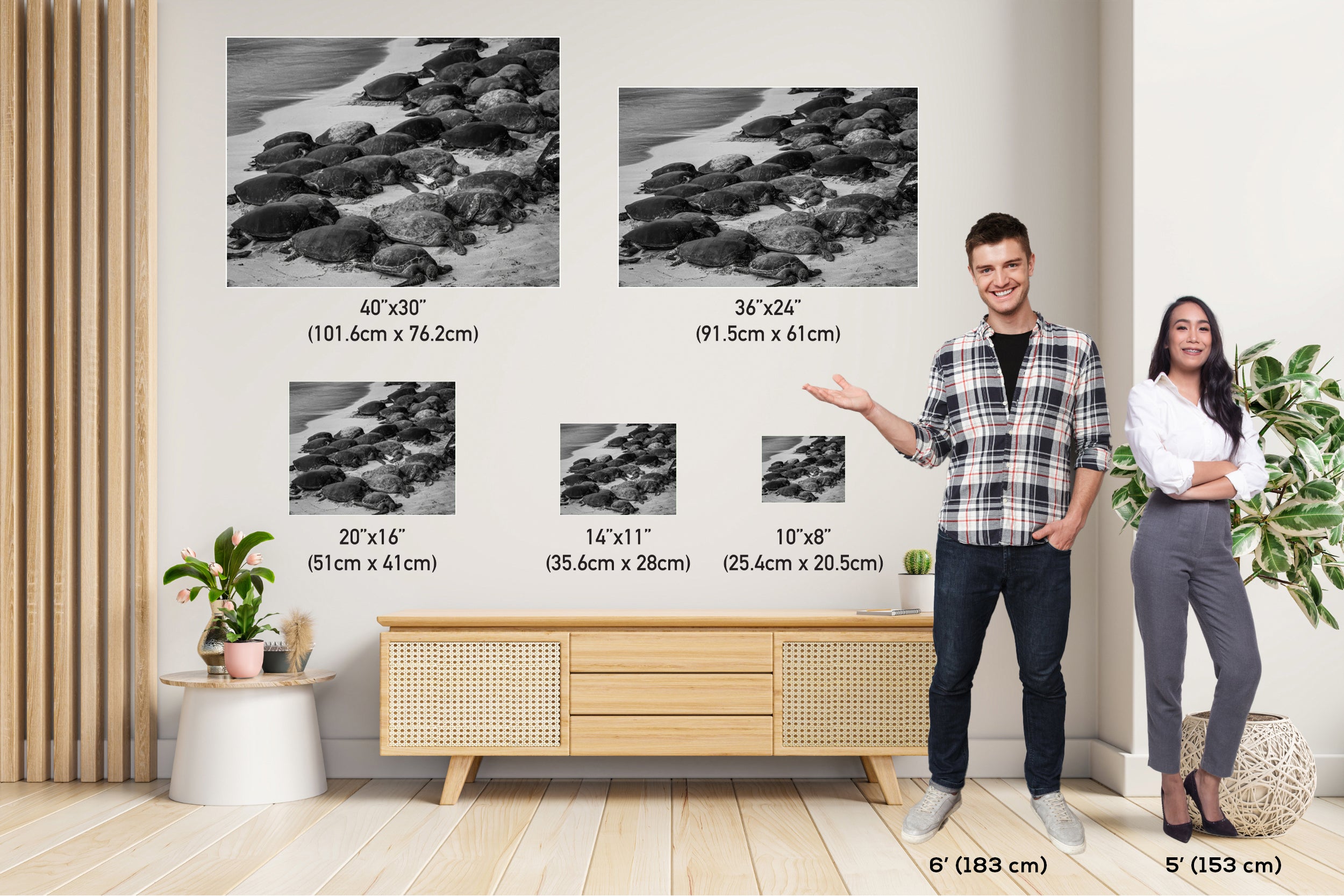 Maui Turtles Photography Print: Black and White Ocean Wall Art
