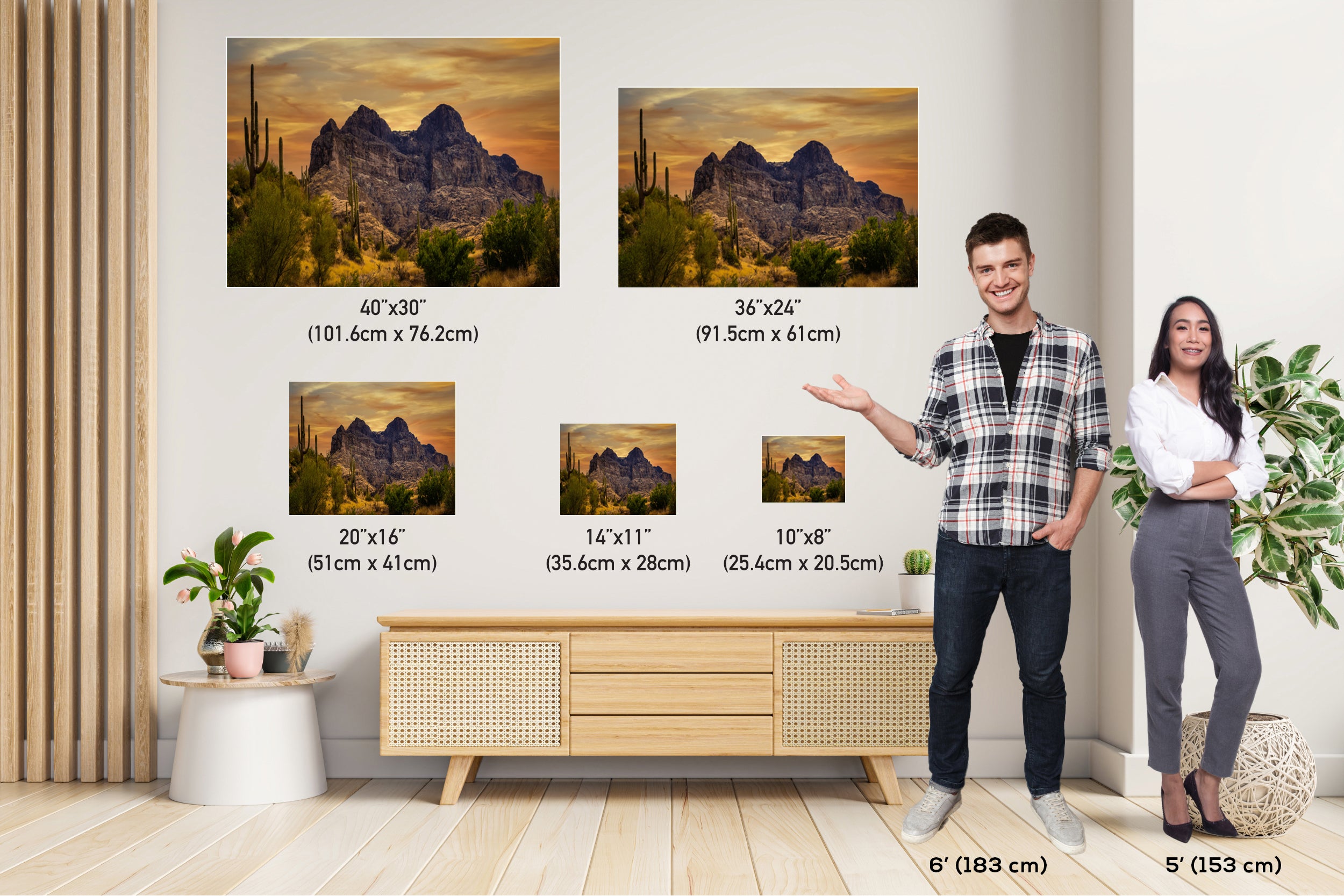 Golden Southwest Arizona Wall Art Landscape Nature Photography