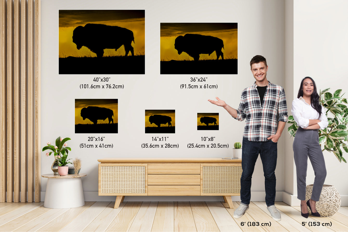 Big Daddy: King of the Badlands Buffalo Silhouette Wildlife Canvas Print Bison Photography Wall Art