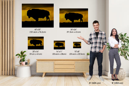 Big Daddy: King of the Badlands Buffalo Silhouette Wildlife Canvas Print Bison Photography Wall Art