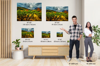 Stormy Glow: Arizona American Southwest Landscape Photography Nature Wall Art Nature Canvas Print