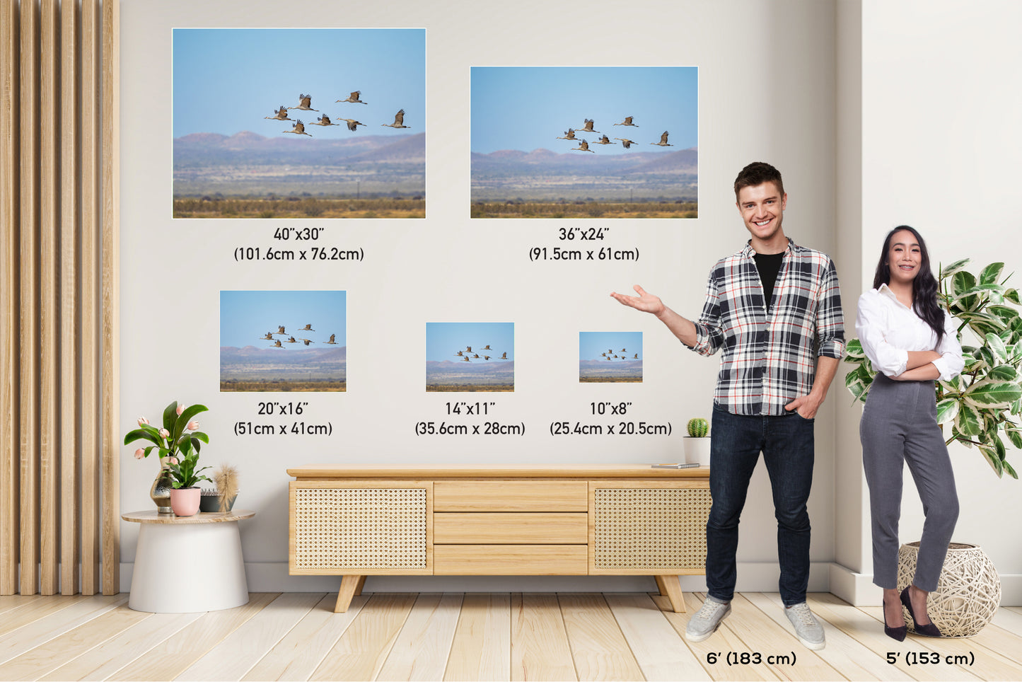 Dancing in the Sky: Sandhill Cranes in Flight Bird Watching Photography Nature Wall Art Print