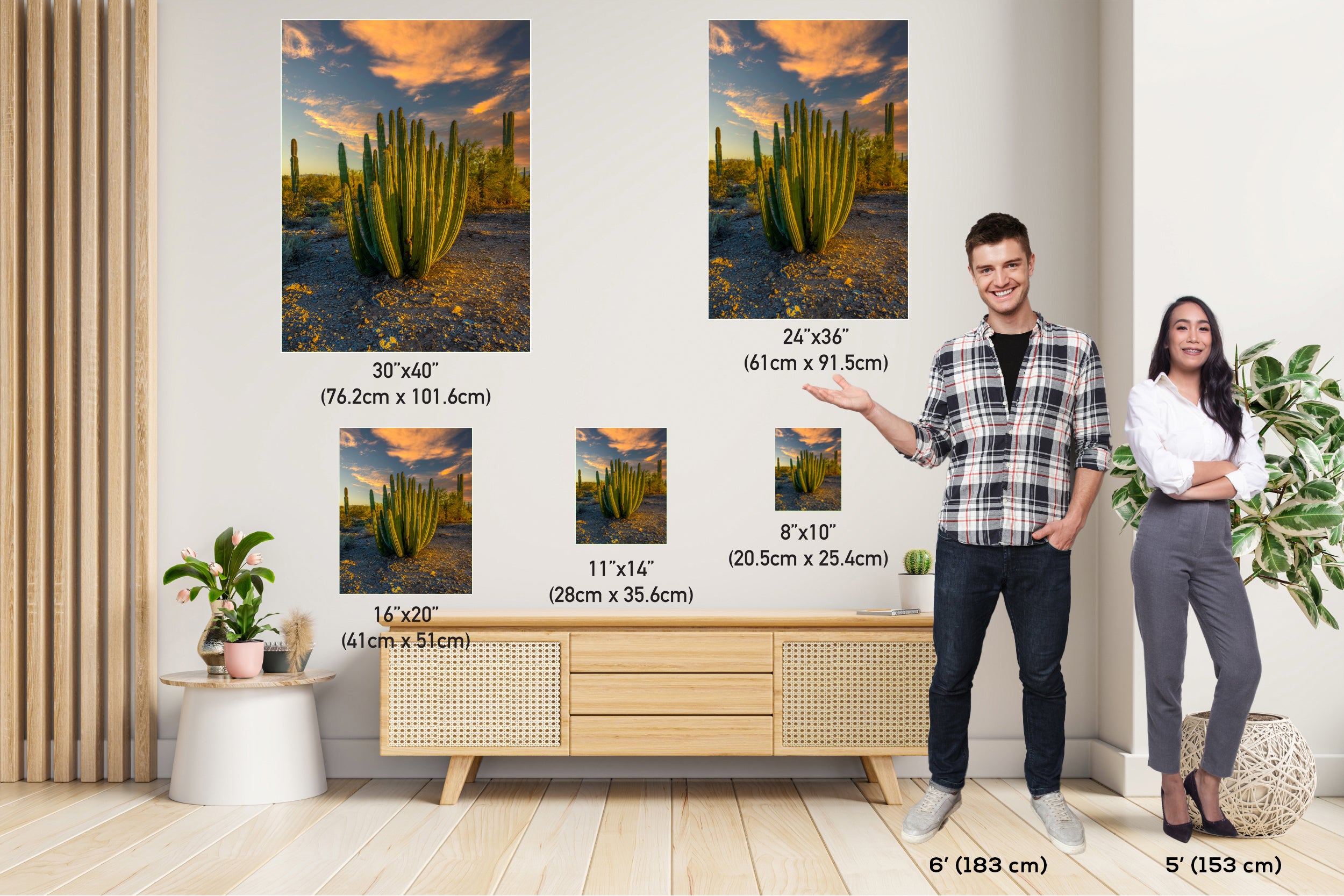 Serenade of Spines: Organ Pipe Cactus National Monument Desert Sanctuary Wall Art Photography