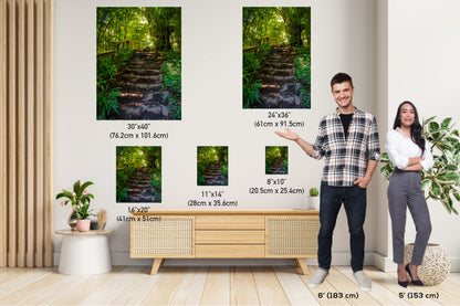 Steps to Enchantment: Pipiwai Trail Stairs Haleakala Maui Hawaii Photography Nature Canvas Print Wall Art