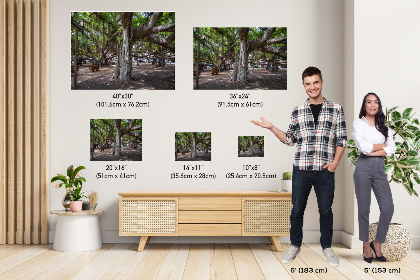 Lahaina Banyan Tree Print - Maui Wall Art | Hawaii Nature Decor Canvas