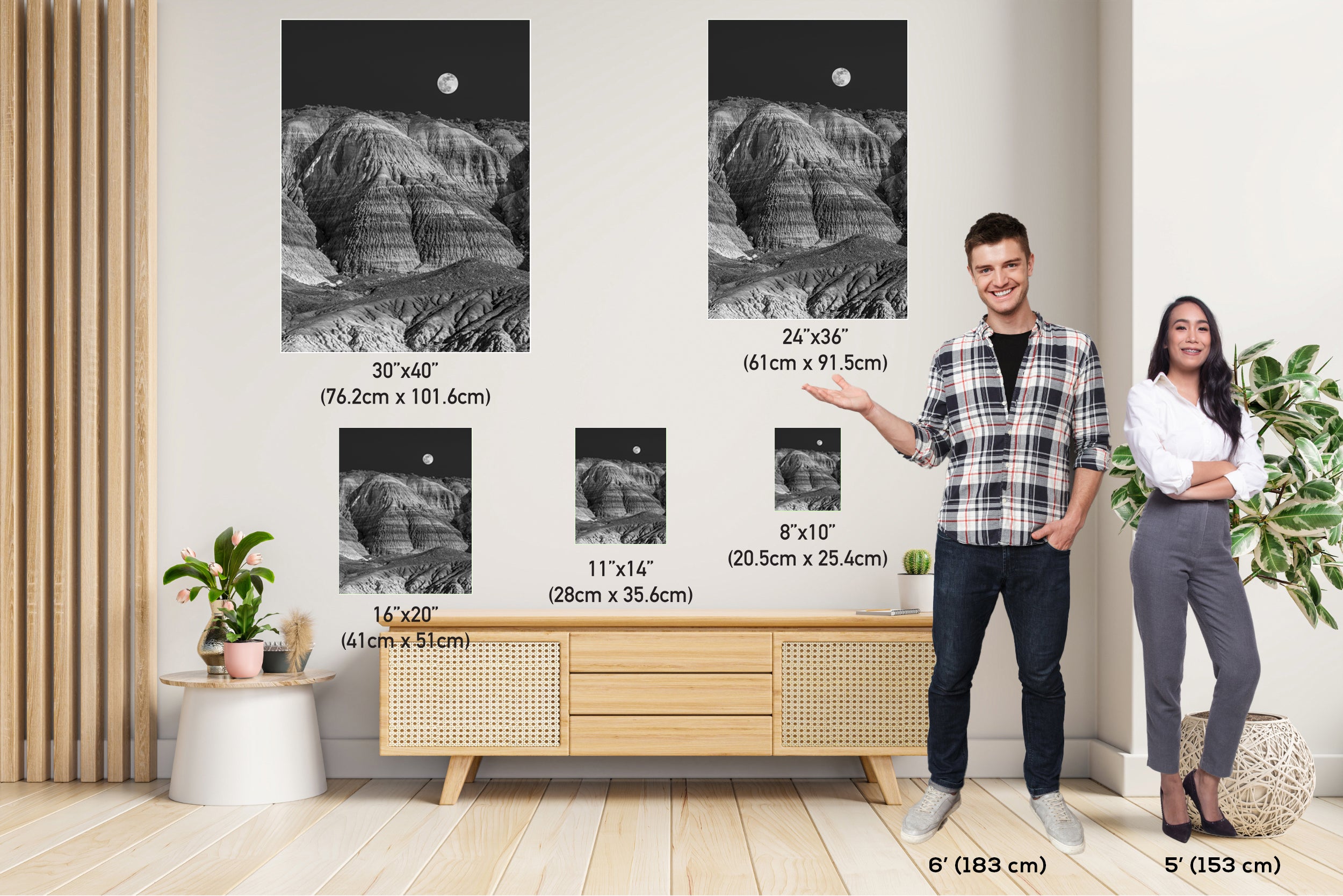 Timeless Natural Beauty: Petrified Forest Arizona Portrait Photography Wall Art