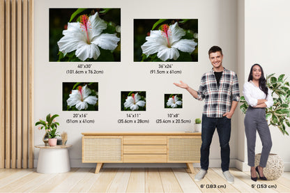 Enigmatic Blossoms: Hawaiian Hibiscus Flower Photography Tropical Home Decor Wall Art Print