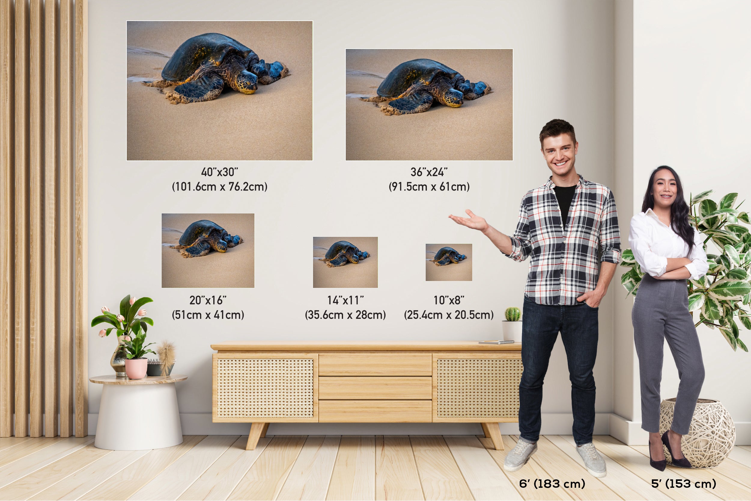 Turtle Serenity: Maui Hawaii Sea Photography Wall Art Ocean Wildlife Print