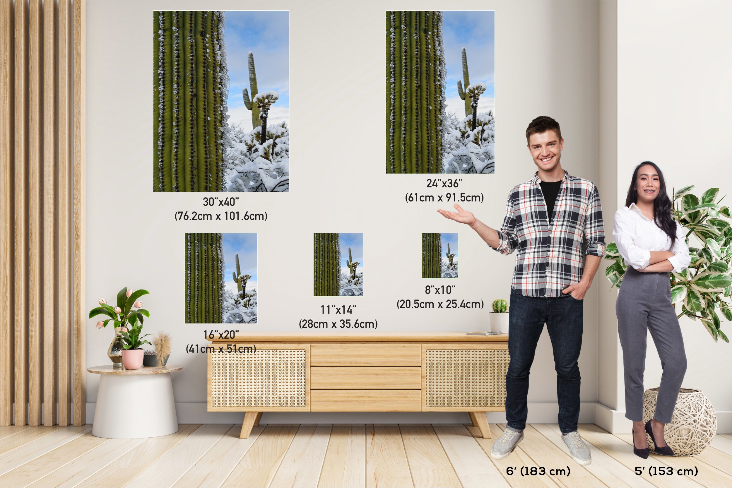 Frozen Giants: Snowfall on Saguaro National Park Cactus Winter Photography Home Wall Art