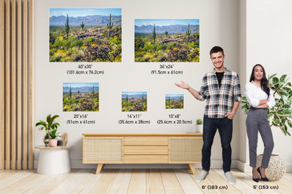 Desert Tapestry: Saguaro National Park East Arizona Cactus Photography Wall Art