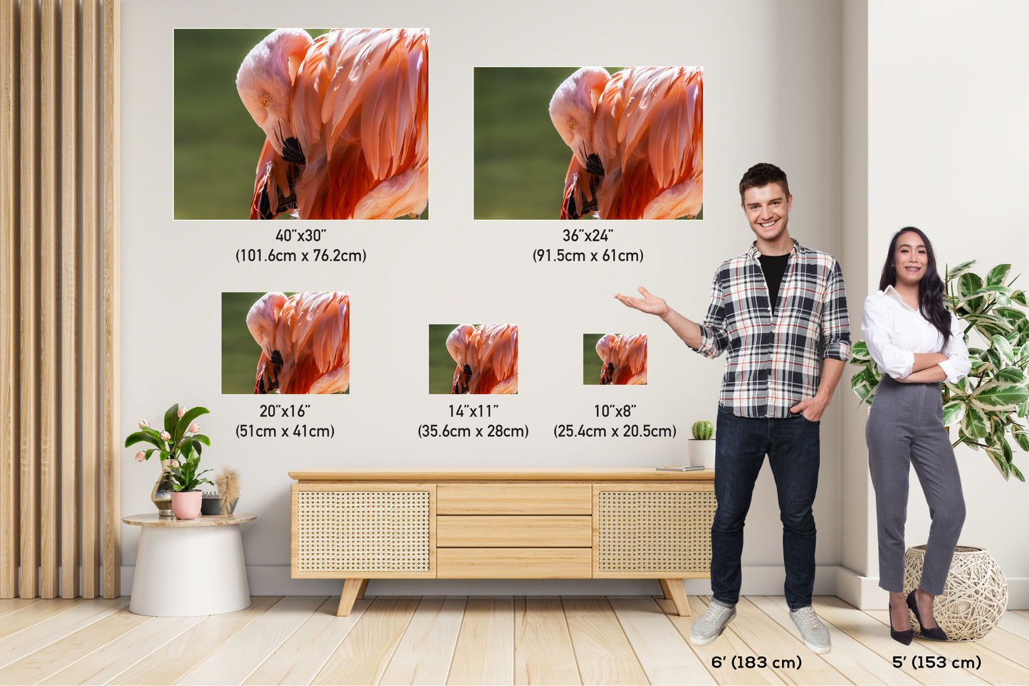 Flamingo Naptime: Wildlife and Nature Photography Pink Flamingo Bird Metal Canvas Print Flamingo Sleeping Wall Art