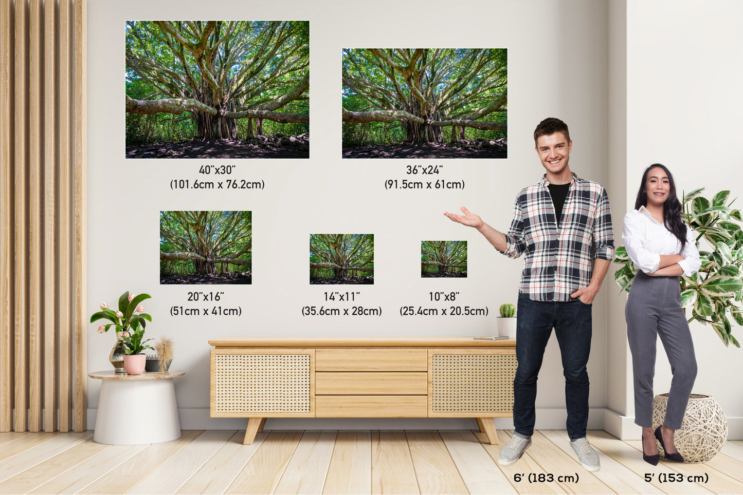 Banyan Tree Photography - Haleakala National Park Maui Nature Prints | Tropical Wall Art