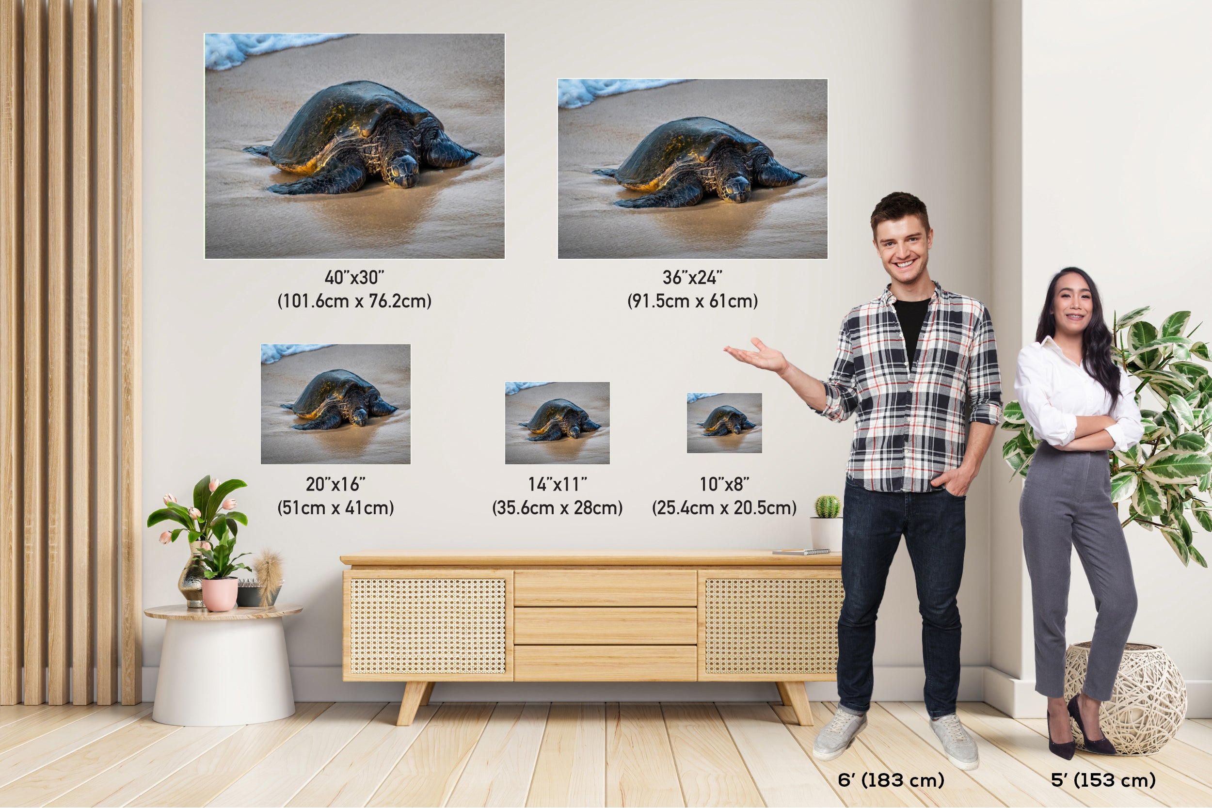 Hawaii Sea Turtle Photo Print: Ocean Wildlife Wall Art