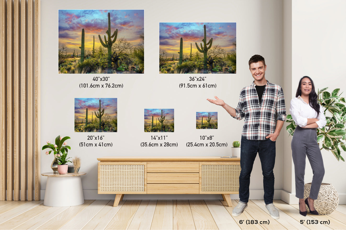 Sabino Canyon Saguaro Cactus Arizona Desert Nature Photography Wall Art