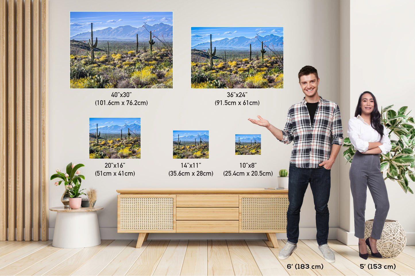 Nature's Contrast: Yellow Desert Cactus Saguaro National Park Wall Art Photography