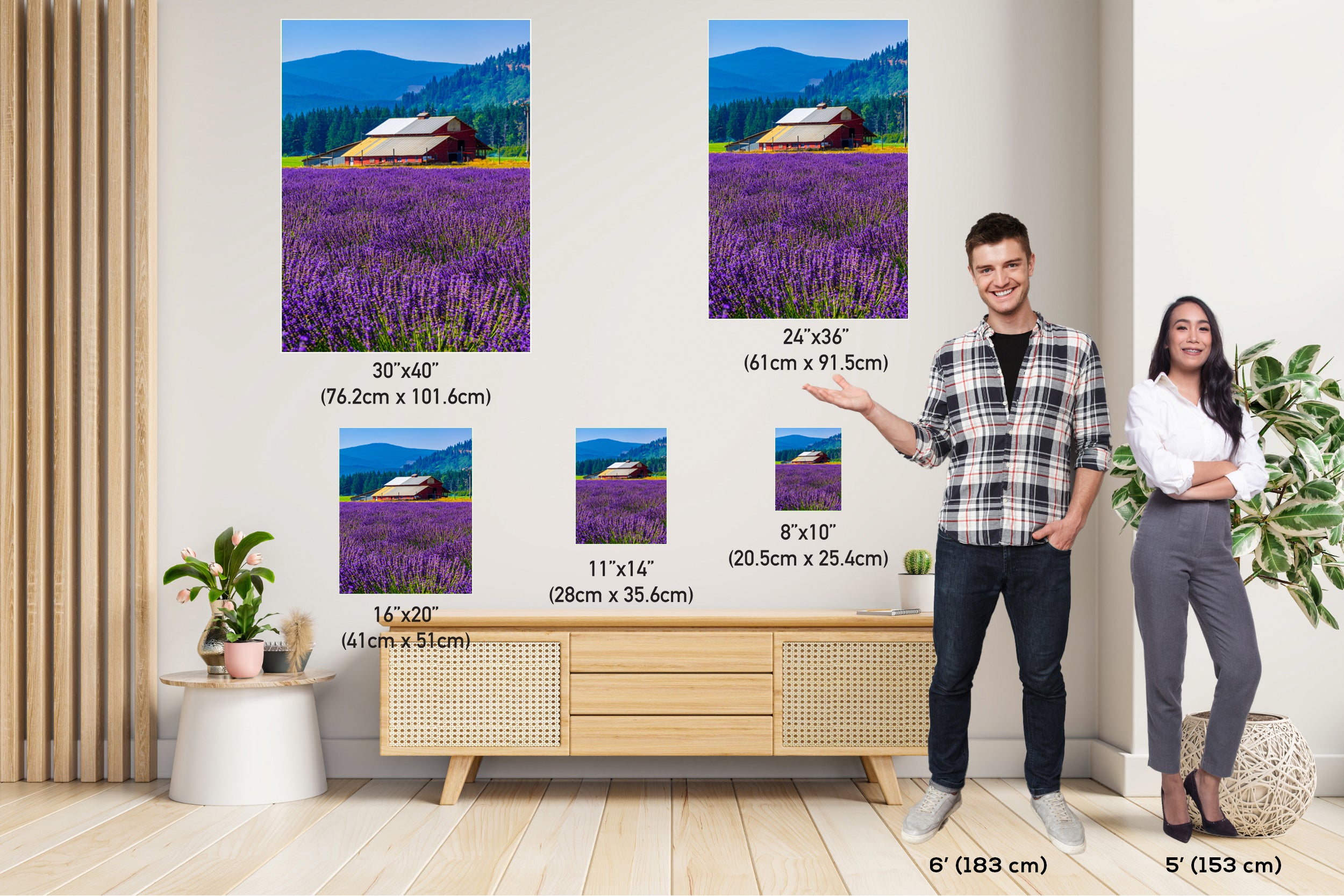 Lavender Field Print: Mount Hood, Oregon Landscape Photography