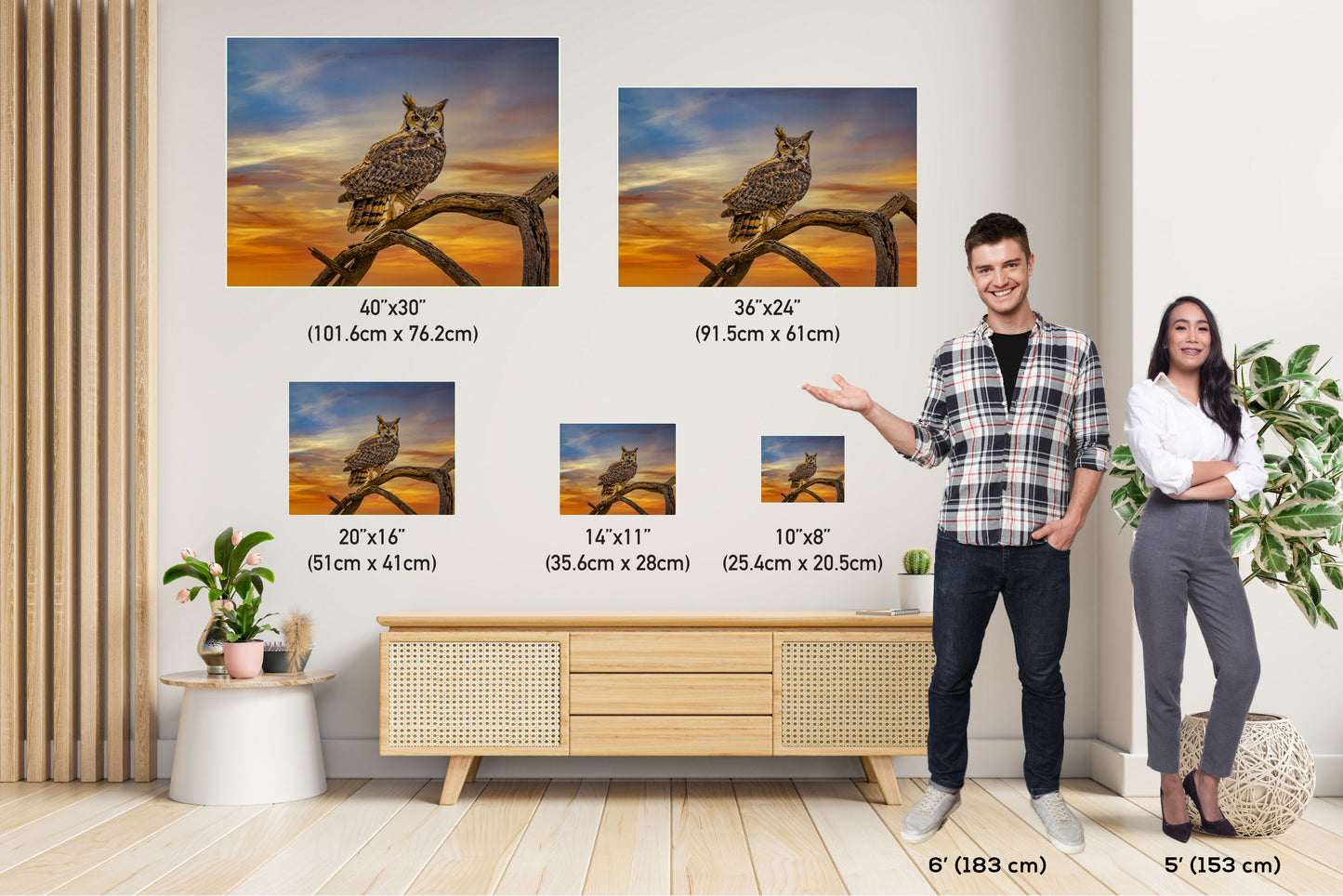 Silent Vigil: Great Horned Owl On a Branch Photography Painted Sky Canvas Print Bird Metal Wall Art
