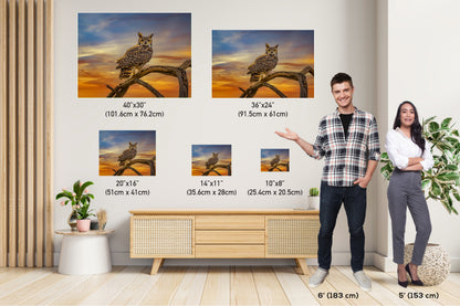 Silent Vigil: Great Horned Owl On a Branch Photography Painted Sky Canvas Print Bird Metal Wall Art